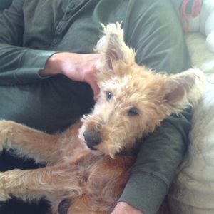 Meet your Posher, Maura